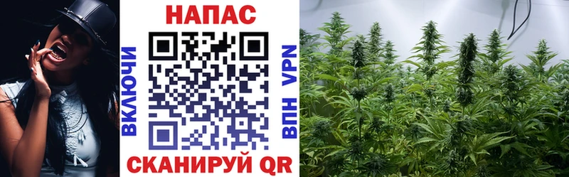 где найти   Карабаново  omg зеркало  Конопля марихуана 